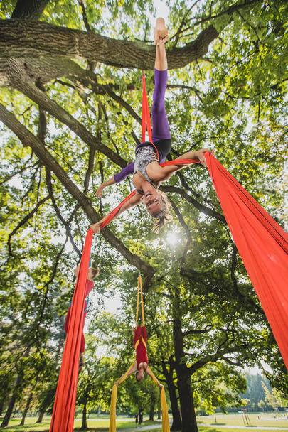 Artista di seta aerea che esegue movimenti su corde appese agli alberi in una giornata di sole nel parco di Tivoli, Lubiana. - Foto, immagini