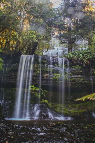 Russell Falls 'un Tazmanya Dağı Ulusal Parkı' ndaki dikey fotoğrafı. - Fotoğraf, Görsel