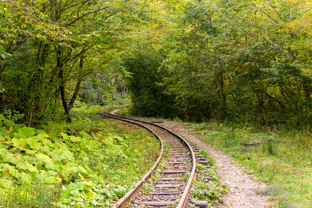 Chemin de fer abandonné dans la forêt de montagne d'automne avec des arbres foliaires dans le Caucase, Mezmay. - Photo, image