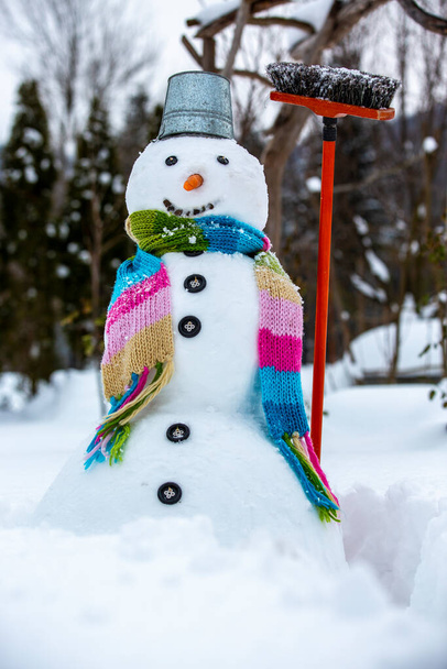  Bahçede kardan yapılmış büyük bir kardan adam. Kış bahçesi. - Fotoğraf, Görsel