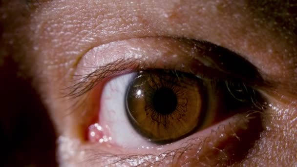 Detailní záběry mužského hnědého oka - Záběry, video