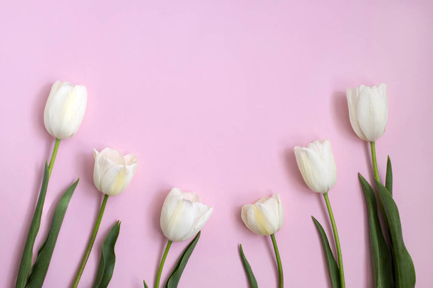Krásné bílé tulipány květiny na růžovém pozadí. - Fotografie, Obrázek