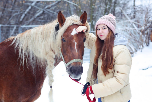 tiener meisje met lang bruin haar en kastanje paard met gevlochten manen close-up portret op winter besneeuwde achtergrond - Foto, afbeelding
