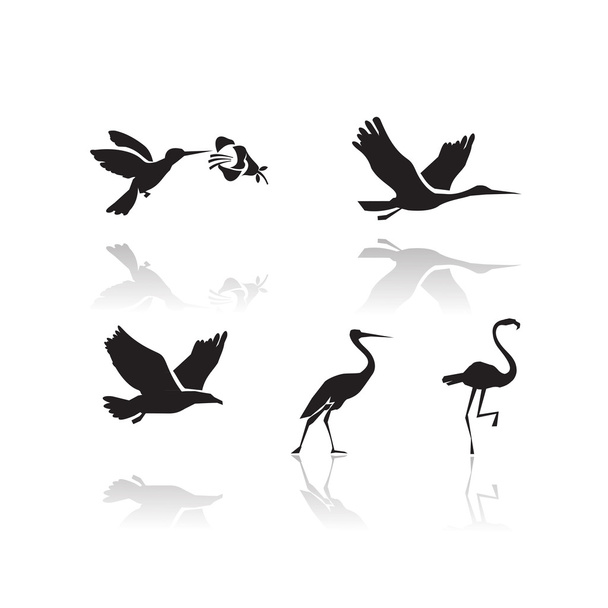 Birds. Vector format - Vector, Image