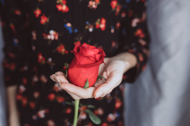 Girl holding a red rose in her hand. Valentines day, love concept. - Photo, Image