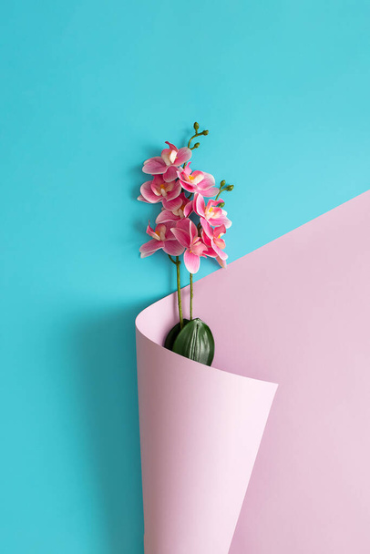 Růžové orchideje zabalené v růžové tapetě na modrém pozadí. Creative love flat lay concept. - Fotografie, Obrázek
