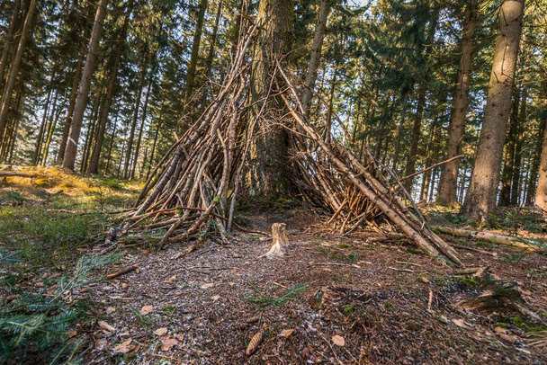 Con rami come un Tippi self-made rifugio nella foresta ad un albero con campeggio, Germania - Foto, immagini