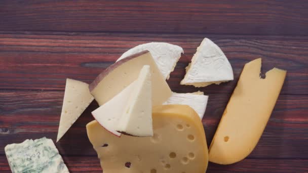 Variety of large wedges gourmet cheese  - Footage, Video