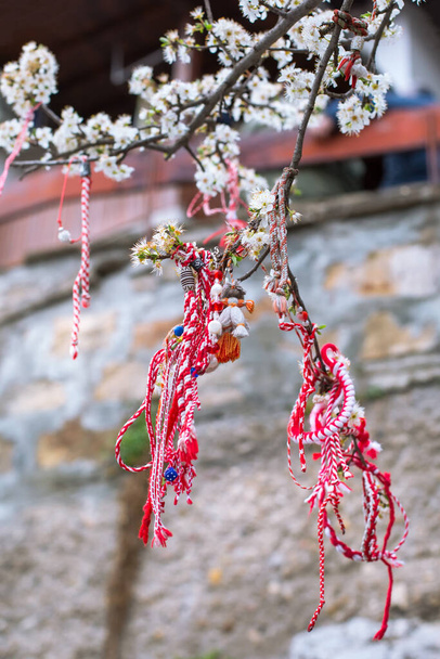 White and red Bulgarian Martenitsa bracelets, hanging on the branch of spring blossom tree - Photo, Image