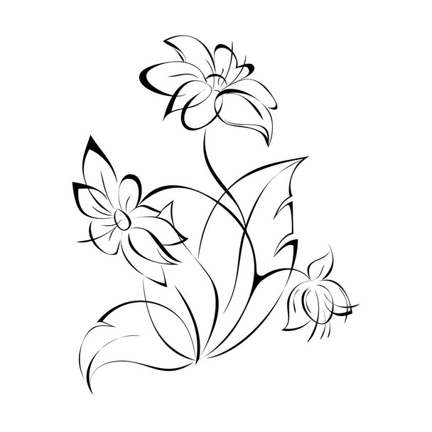 twig with leaves and with stylized flowers in black lines on a white background - Vector, Image