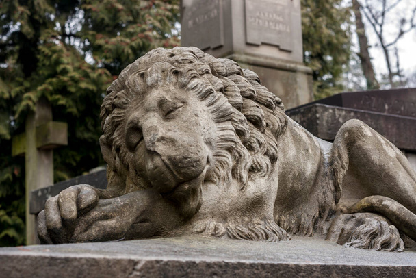 Mezarlıkta uyuyan taş aslan. Kapalı bir mezarlıktaki antik bir heykelin parçası. Lviv, Ukrayna - Ekim 2016 - Fotoğraf, Görsel