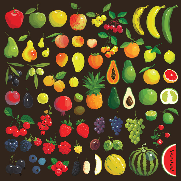 Owoce i owoce - Wektor, obraz