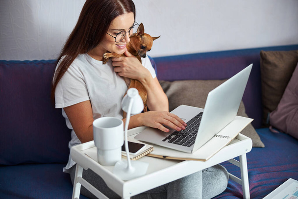 Smiling woman with dog enjoying working online - Valokuva, kuva