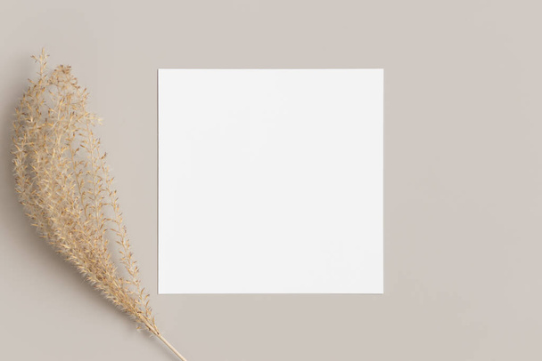 Квадратна листівка-запрошення макет з висушеною прикрасою трави на бежевому столі
. - Фото, зображення