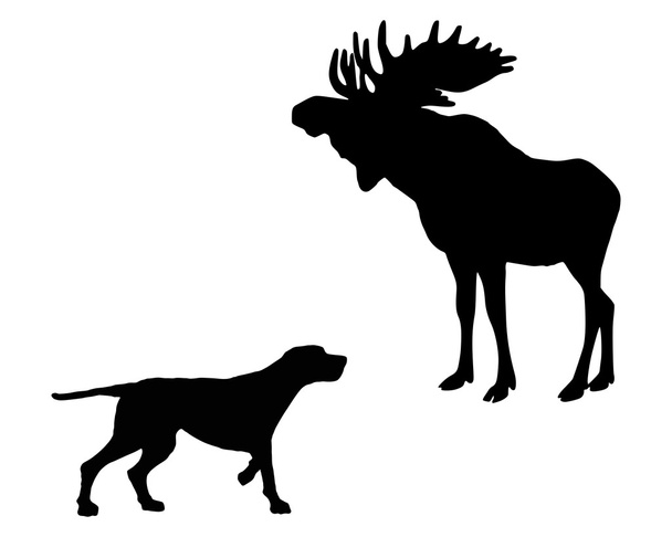 dwa zwierzęta, Seter i łoś spotkać twarzą w twarz - Wektor, obraz