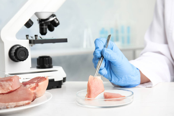 Scientist with raw meat at table in laboratory, closeup. Poison detection - Foto, Imagen
