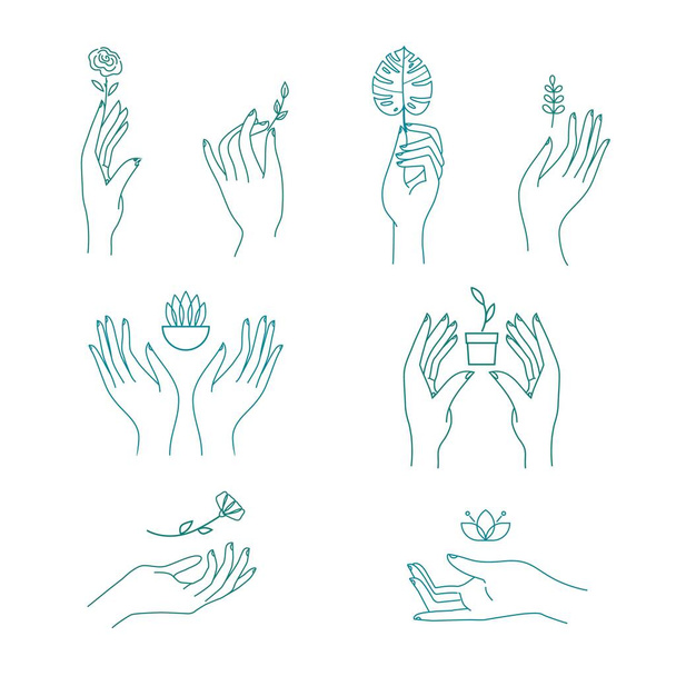 Руки, що тримають листя і квіти набір логотипів Векторні ілюстрації
 - Вектор, зображення