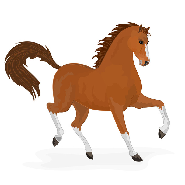 άλογο τρέξιμο - Διάνυσμα, εικόνα