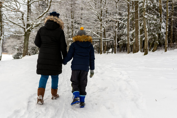Mother and son walking together on a forest track in winter time back view. - Zdjęcie, obraz