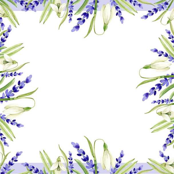 frame with delicate spring flowers watercolor illustration on white background. hand-painted - 写真・画像