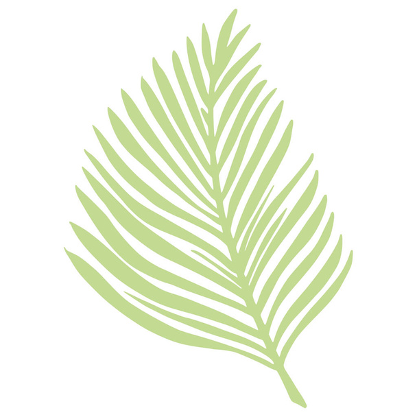 Feuille de palmier tropicale isolée sur fond blanc. Élément botanique abstrait couleur verte. Croquis en illustration vectorielle de gribouillis de style. - Vecteur, image