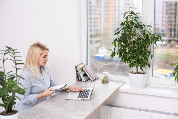 Young blonde caucasian woman photographer sitting at the laptop wooden table large window and grey wall working - Photo, Image
