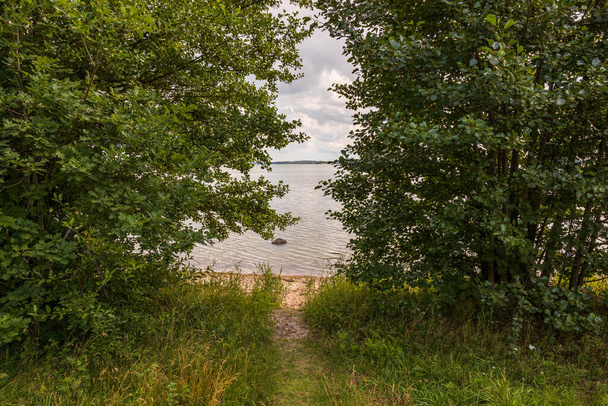 Beautiful summer nature landscape view. Road leading to Baltic sea   through trees on cloudy sky background. Sweden. - Foto, Imagen