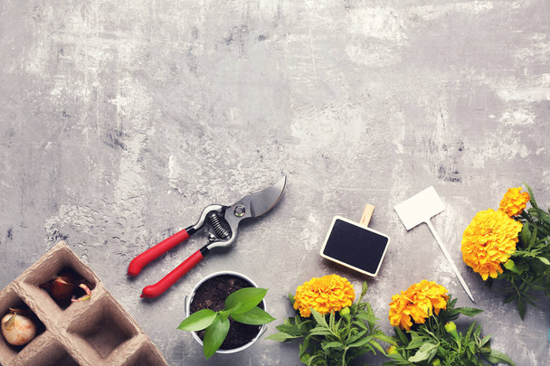 Garden pruner with flowers on grey wooden table - Photo, Image