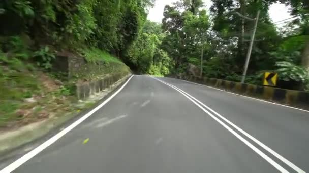 Поездка по сельской дороге в Сугнай Пинанг, Балик Пулау. Природная зеленая дорога. - Кадры, видео