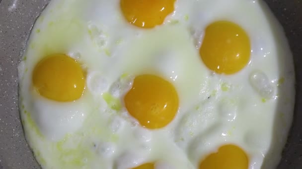Assar ovos em uma frigideira. Os ovos mexidos fritam-se em uma panela de ato de fritar, há vapor - Filmagem, Vídeo