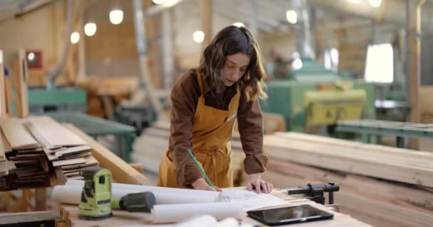Εργάτες ξυλουργικής που σχεδιάζουν στο ξυλουργείο - Πλάνα, βίντεο