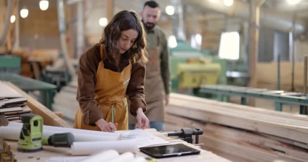 Trabajadores de carpintería diseñando en la carpintería - Metraje, vídeo