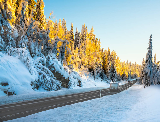 Carro dirigindo em uma estrada gelada que atravessa uma floresta de pinheiros coberta de neve em um dia de inverno claro. .. Foto de alta qualidade - Foto, Imagem