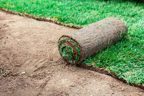 Bodenbeschichtung mit grünen Rasenrollen - Foto, Bild