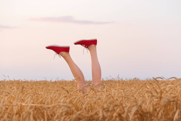 Buğday tarlasından sarkan kırmızı spor ayakkabılı ayaklar. Bacaklar sahada ve gökyüzü arka planında - Fotoğraf, Görsel