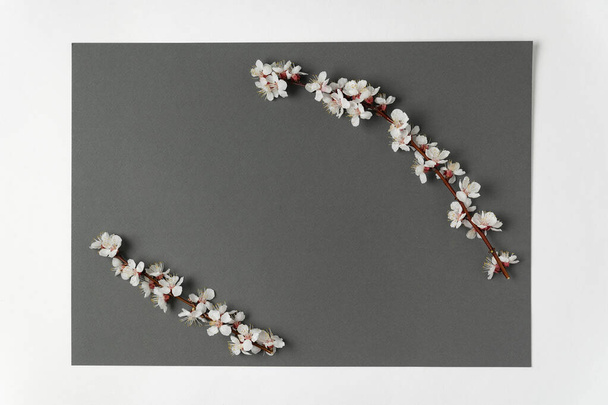 Weiße Blüten des Aprikosenbaums auf grauem Hintergrund. Vorlage. Hintergrund. Attrappe. - Foto, Bild