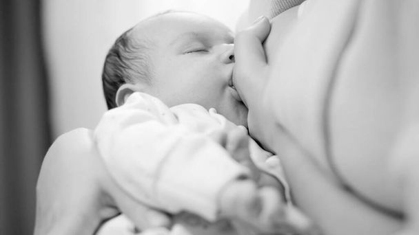 Black and white closeup of little newborn baby falling asleep while sucking sucking mothers breast milk. Concept of healthy and natural baby breastfeeding nutrition. - Photo, Image