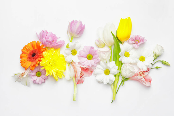 Beautiful spring flowers on white background - Photo, image
