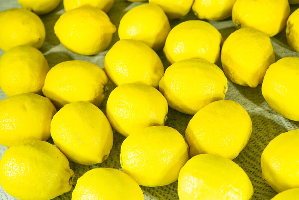 新鮮なレモン。テーブルの上に横たわるレモンの多数からの背景. - 写真・画像