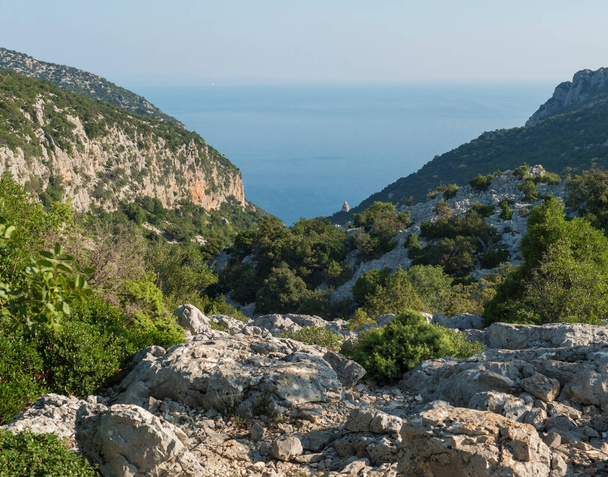 A view of valley with rocky hiking path to Cala Goloritze beach, limestone rocks and sea. Famous travel destination. Gulf of Orosei, Sardinia, Italy, September - 写真・画像
