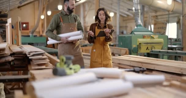 Trabajadores creativos de la carpintería en la fabricación - Imágenes, Vídeo