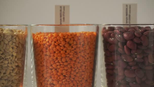 Genmanipuliertes Saatgut. Verschiedene Saatgutsorten in Laborzucht und Gentechnik - Filmmaterial, Video