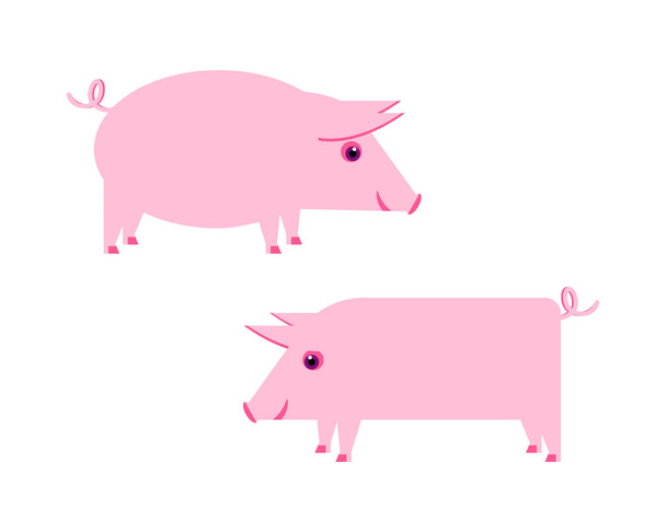 Pink piglets. Illustration. - Vector, Image