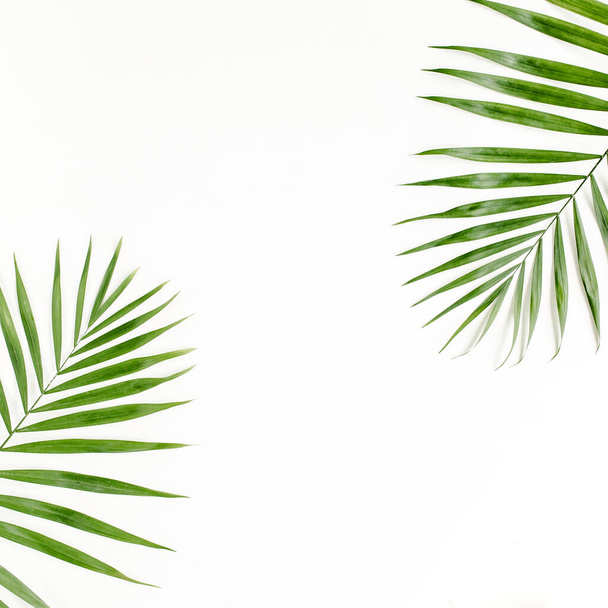 Tropical green palm leaf on white background. flat lay, top view - Photo, Image
