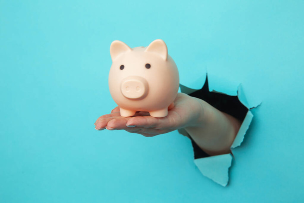 Woman hand with a piggy bank through a blue paper hole. Financial and business concept - Foto, Imagen