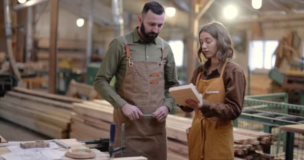 Dos trabajadores de carpintería en la fabricación - Imágenes, Vídeo