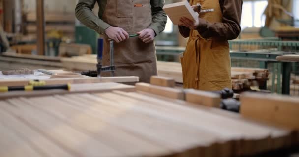 Two carpentry workers at the manufacturing - Footage, Video