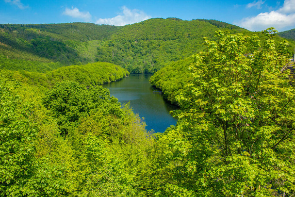 Lake Urft at Eifel National Park, Germany. Scenic view of lake and river Urft and surrounded lush green landscape in North Rhine-Westphalia - Photo, Image