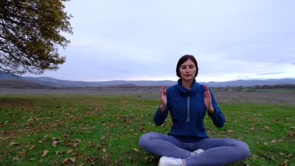Молодая спортсменка азиатка медитирует в полевых условиях на старом дубе, дзен йога медитации практики в природе - Кадры, видео