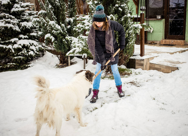 женщина с лопатой убирает снег., играет белая собака. Зимняя лопата. Удаление снега после метели - Фото, изображение
